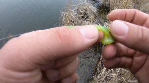 ЛОВЛЯ СУДАКА ВЕСНОЙ. РЫБАЛКА НА ДЖИГ С БЕРЕГА В ЗАПРЕТ!!!! ГДЕ ИСКАТЬ СУДАКА. РЫБАЛКА 2021