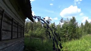 Тайга. Едем на лодке по лесной реке