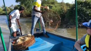 Ловля крабов. Крабалка. Южный Гоа. Экскурсия. Январь 2020