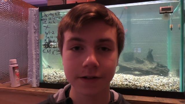 I LOST MY FAVOURITE FISH! Columnaris Aquarium Disease смотреть онлайн