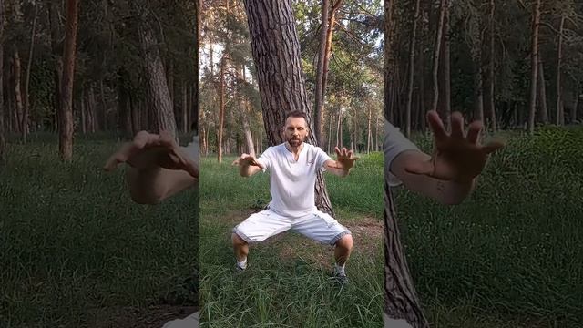 Нейро-квантовая динамическая медитация - ДЫХАНИЕ СВЕТА. / полное видео. /