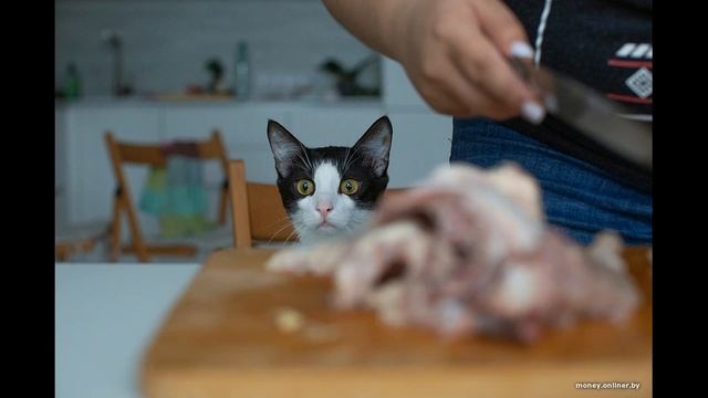 Что дешевле — купить целую курицу и разделать или сразу взять готовую разделку? смотреть онлайн