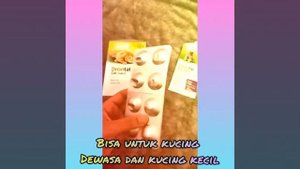 Review drontal cat and dog tablet