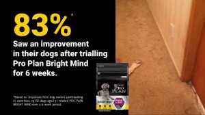 PURINA PRO PLAN BRIGHT MIND Testimonials