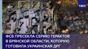 ФСБ пресекла серию терактов в Брянской области, которую готовила украинская ДРГ #shorts