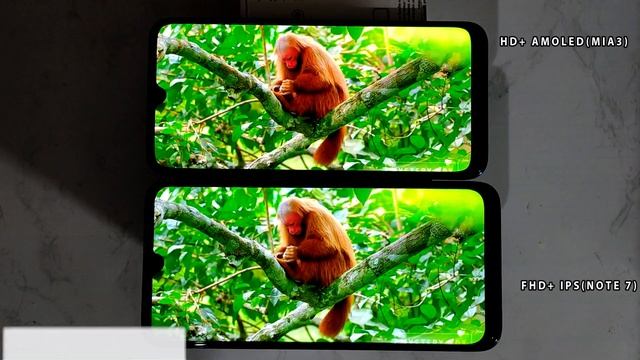 HD+ AMOLED(MIA3) vs FHD+ IPS Display Comparison which is Best  ?