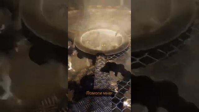 Катарсис #insoundmind #подпишись #subscribe #gaming #scary #creepy #horror #game #игра #катарсис смотреть онлайн