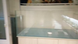 Новый аквариум на 400 литров. Подготовка.