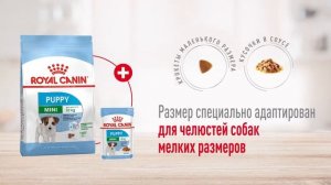 Сухой корм Royal Canin Mini Puppy для щенков мелких пород