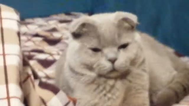 ЛУЧШИЙ АНЕКДОТ ПРО КОРОТЕНЬКИЙ ФИТИЛЕК В БАНЕ)))/ ЮМОР/ СМЕХ/ ПРИКОЛЫ смотреть онлайн