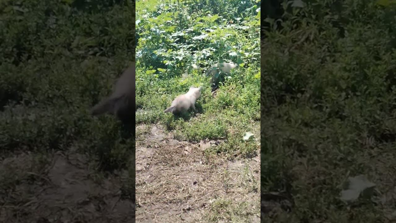 18 июля 2023 г. смотреть онлайн