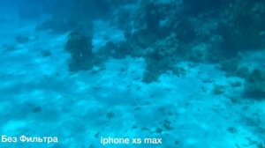 Gopro без подводного бокса в Красном море
