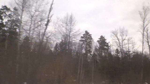 Серпухов, автобус 144, участок Кремёнки -  Заводская