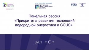 Панельная сессия «Приоритеты развития технологий водородной энергетики и CCUS»