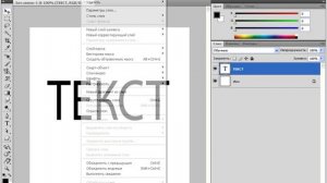 Растрирование слоя в Photoshop CS4 (11/45)