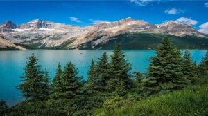 Янги йил нишонлаш халолми |° Шайх Мухаммад Содик Мухаммад Юсуф Хазратлари ° савол-жавоб°