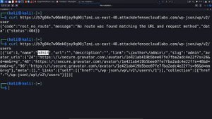 10.5. Enumerating WordPress Users, Plugins & Themes