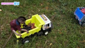 Luby Monyet Lucu dan Bebek Pergi Memetik Buah di Taman