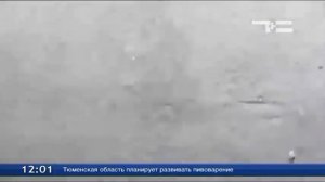 В Тюмени выпал град размером с куриное яйцо