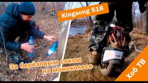 Еду за березовым соком на моноколесе. Kingsong S18
