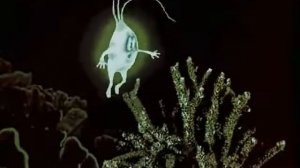 Мультик Светлячок Shiner