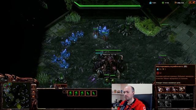 Мощь рандома в Starcraft 2. Стрим для новичков. смотреть онлайн