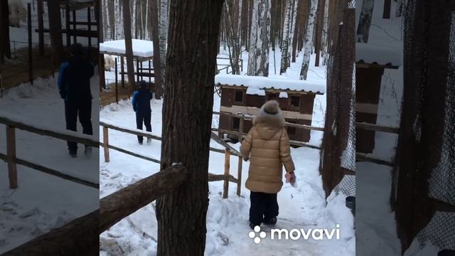 Новый кигуруми
