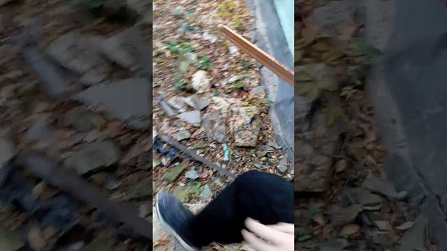 Пошли в заброшенною школу (1) смотреть онлайн