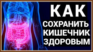 КАК СОХРАНИТЬ КИШЕЧНИК ЗДОРОВЫМ
