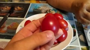 Томат Чио чио сан.