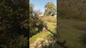 Рыбалка в Анапе ,где ловить рыбу?