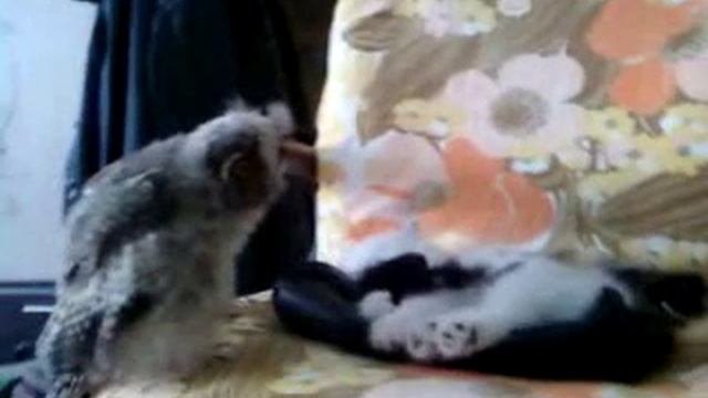 Блондинка спит смотреть онлайн