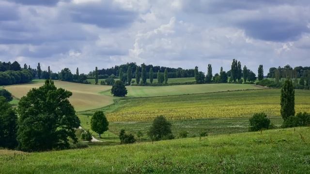 Свекровь ненавидела невестку и постоянно поливала её грязью. Не выдержав, та придумывает хитрый пла смотреть онлайн