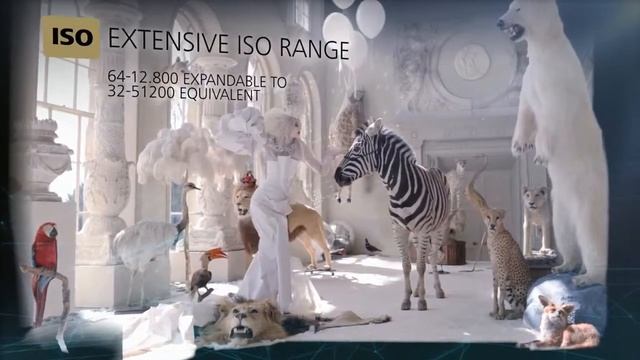 Nikon D810 Product Tour смотреть онлайн