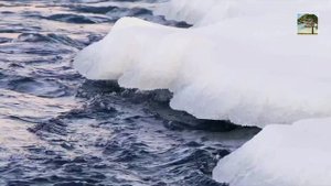 Реальные Звуки Природы. Шум бурлящей воды, Ветра, Реки. Зимняя река для сна и отдыха. Лёд, Снег