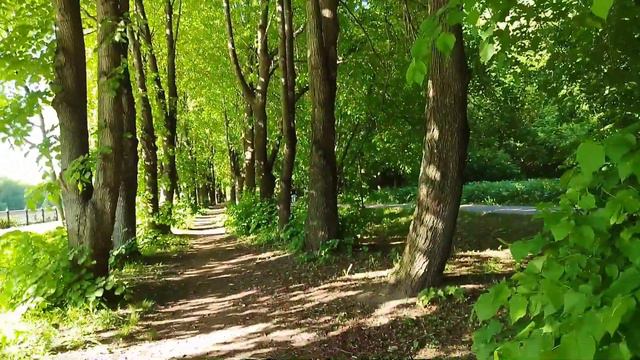 Лето#КаналимениМосквы#релакс#пениептиц#пароходы#сирень#08.06.2022 смотреть онлайн