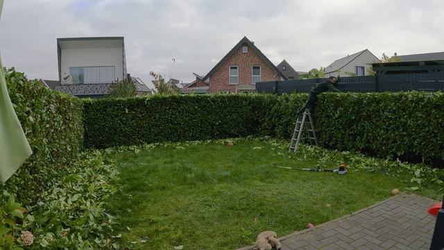 Kustorez. Laurel hedge Trimming смотреть онлайн