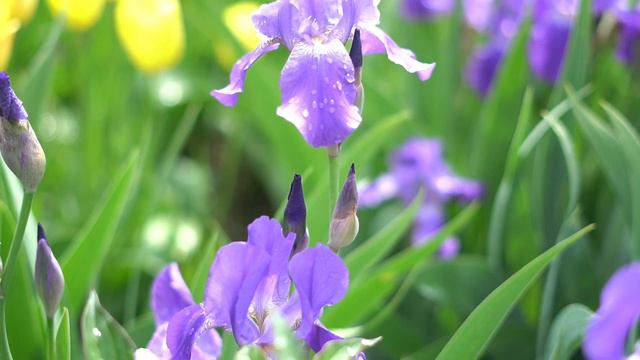 22 05 23г  После дождя смотреть онлайн