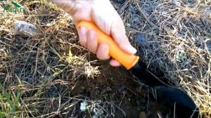 Как бороться с вьюнком - 7 дач