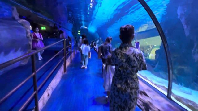 Океанариум в Дубае 2023 смотреть онлайн