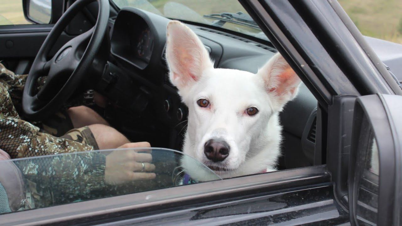 путешествие на Ниве Legend| тур по Башкирии 1#| едем в заповедник Шульган-Таш смотреть онлайн