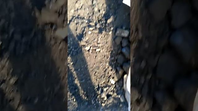 Уголь концентрат .