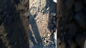 Уголь концентрат .