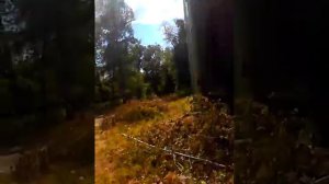 усадьба липгарта