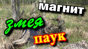 Змея-мумия и магнитная рыбалка