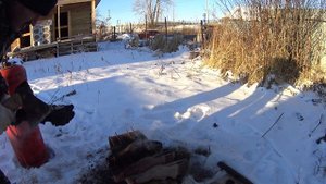 ✔️Как опалить говяжьи ноги? 2 способа! Первый опыт.