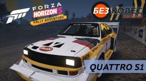 Forza Horizon 5 Rally DLC - Ни одна курица не пострадала!