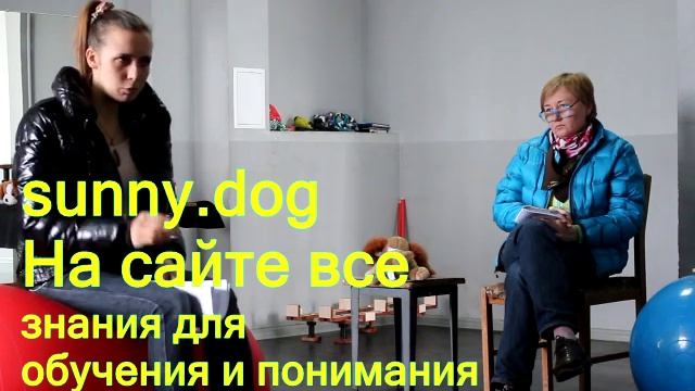 Как правильно обрабатывать собаку от клещей? как правильно обработать от клещей собаку смотреть онлайн