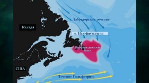 §13 "Особенности отдельных океанов", География 7 класс ч.1, Домогацких