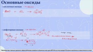 11. Химические свойства кислотных оксидов